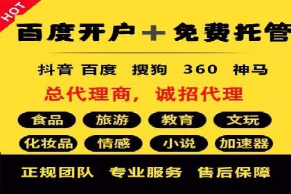 SEM代理助力品牌：案例解析，优化策略全揭秘