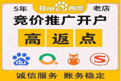 成功案例：SEM托管代运营助力业务增长